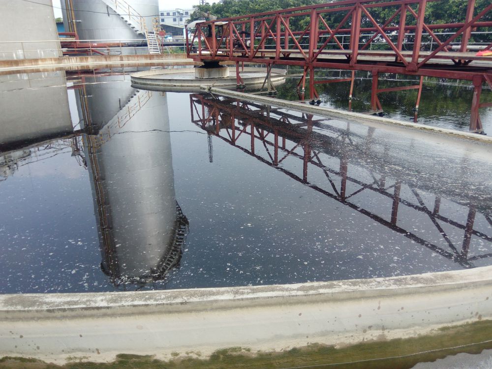 Wastewater from a paper industry in Dongguan