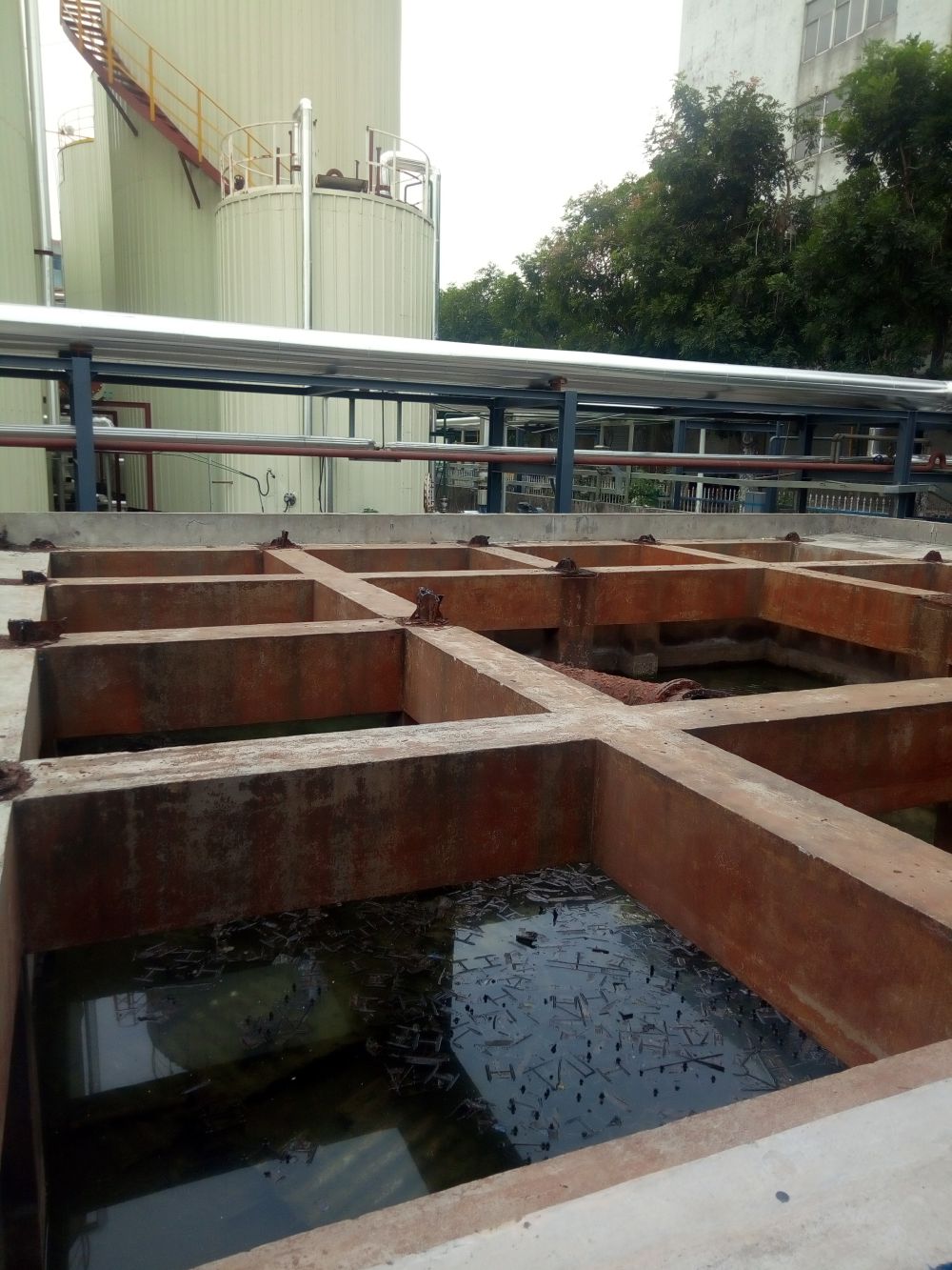 Wastewater treatment of a certain oil and fat chemical industry in Guangzhou